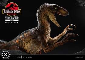 Velociraptor Jump Jurassic Park Prime Collectibles 1/10 Statue by Prime 1 Studio