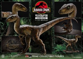 Velociraptor Closed Mouth Jurassic Park Prime Collectibles 1/10 Statue by Prime 1 Studio