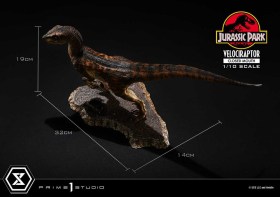 Velociraptor Closed Mouth Jurassic Park Prime Collectibles 1/10 Statue by Prime 1 Studio