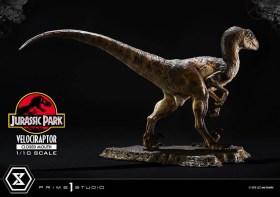 Velociraptor Closed Mouth Jurassic Park Prime Collectibles 1/10 Statue by Prime 1 Studio