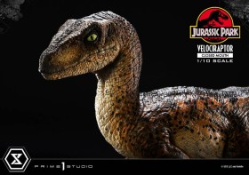 Velociraptor Closed Mouth Jurassic Park Prime Collectibles 1/10 Statue by Prime 1 Studio