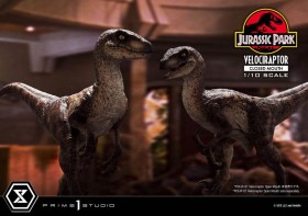 Velociraptor Closed Mouth Jurassic Park Prime Collectibles 1/10 Statue by Prime 1 Studio