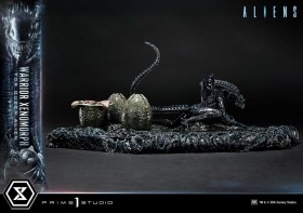 Warrior Xenomorph for Queen Alien Aliens (Film) Statue by Prime 1 Studio