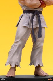 Ryu & Dan Street Fighter PVC 1/10 Statues by PCS