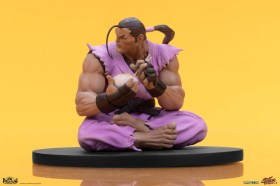 Ryu & Dan Street Fighter PVC 1/10 Statues by PCS