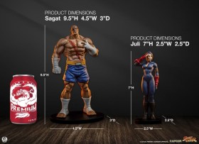 Sagat & Juli Street Fighter Street Jam 1/10 Statue by PCS