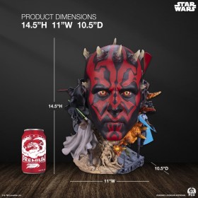 Darth Maul Star Wars Fine Art Bust by PCS