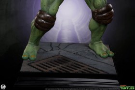 Donatello Teenage Mutant Ninja Turtles 1/2 Statue by PCS