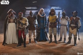 Vizam Star Wars 1/6 Action Figure by Sideshow Collectibles