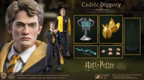 Cedric Diggory Deluxe Version Harry Potter My Favourite Movie 1/6 Action Figure by Star Ace Toys