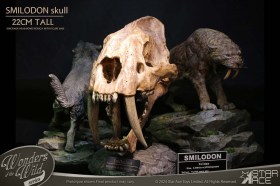 Smilodon Skull Fossil Wonders of the Wild Series Statue by Star Ace Toys