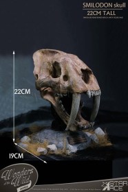 Smilodon Skull Fossil Wonders of the Wild Series Statue by Star Ace Toys