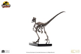 Raptor Skeleton Bronze Jurassic Park 1/4 Statue by Elite Creature Collectibles