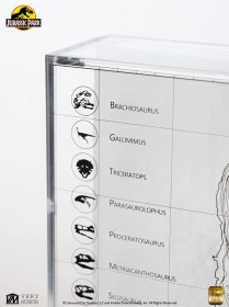 Topographic Map Isla Nublar Jurassic Park by ECC