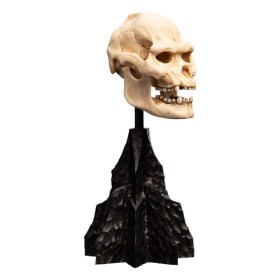 Skull of Lurtz Lord of the Rings Mini Statue by Weta