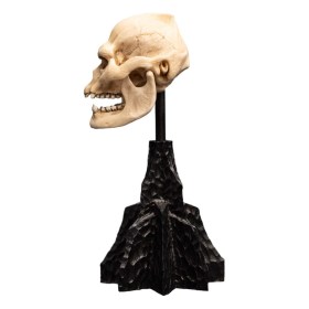 Skull of Lurtz Lord of the Rings Mini Statue by Weta