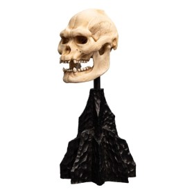 Skull of Lurtz Lord of the Rings Mini Statue by Weta