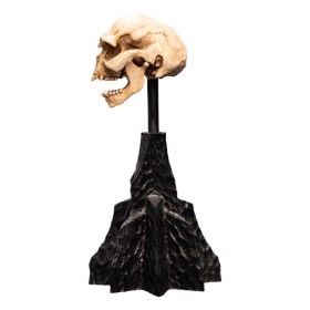 Skull of a Moria Orc Lord of the Rings Mini Statue by Weta Workshop