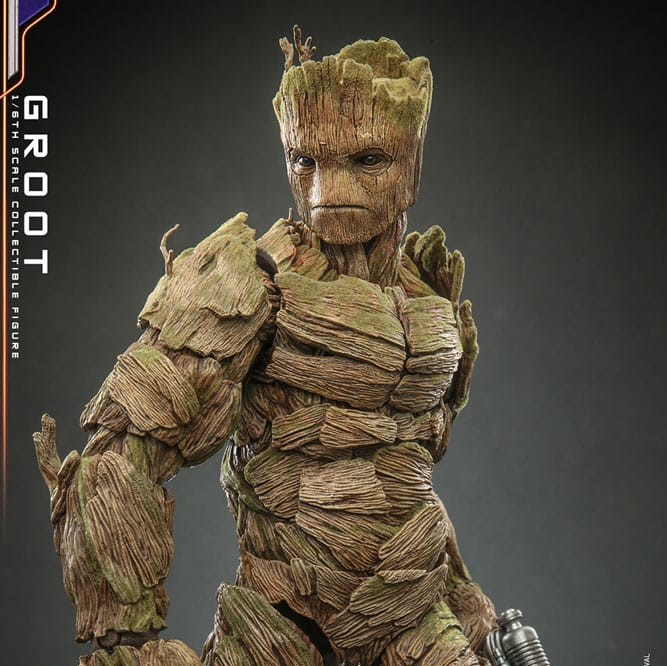 1/6 Sixth Scale Figure: Groot Guardians of the Galaxy Vol. 3 Movie  Masterpiece 1/6 Action Figure by Hot Toys