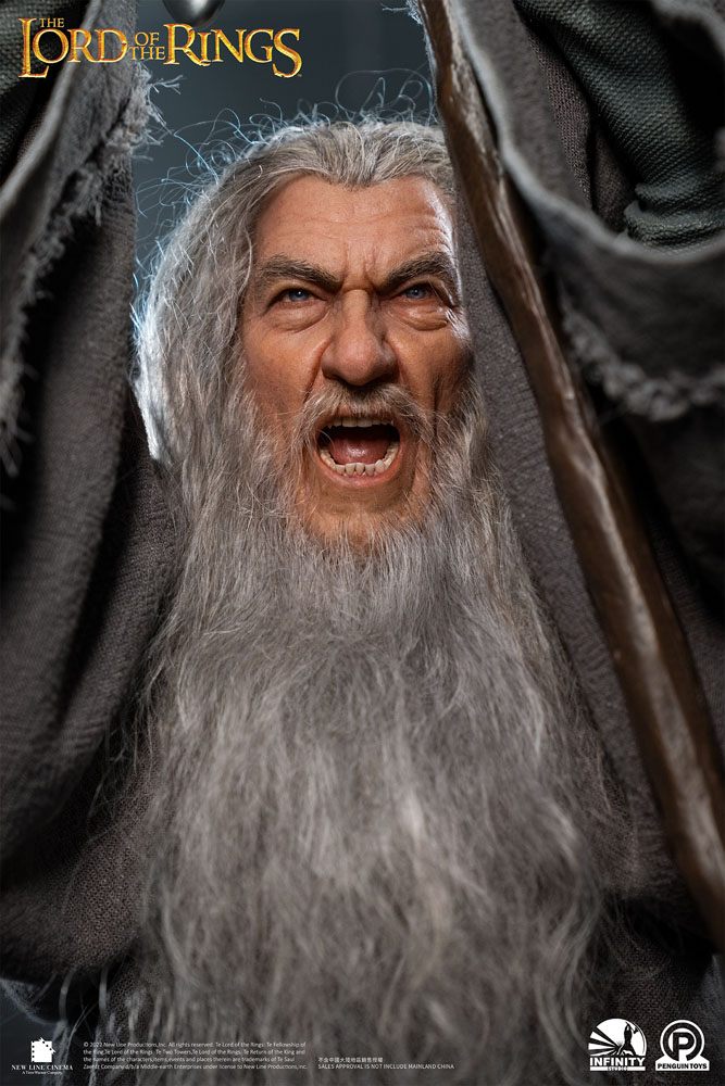 gandalf the gray lord of the rings