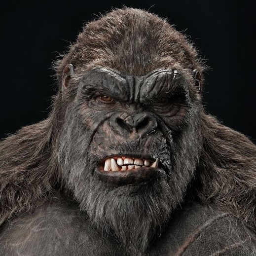 prime 1 kong bust