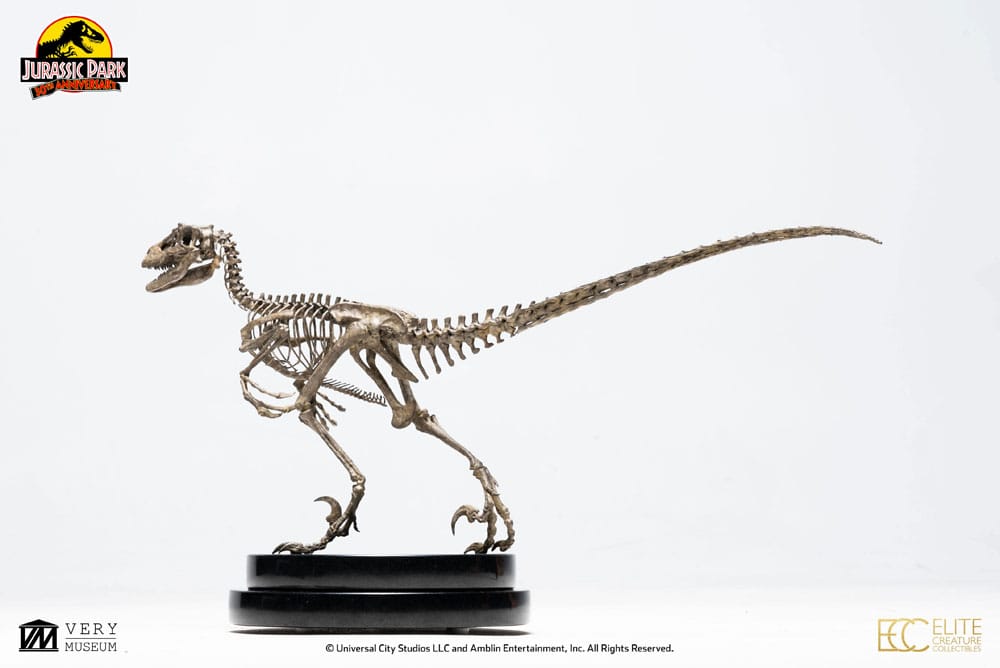 A Rare Skeleton of the Raptor That Inspired the Villains of 'Jurassic Park'  Is the Star of Christie's 20th Century Art Evening Sale